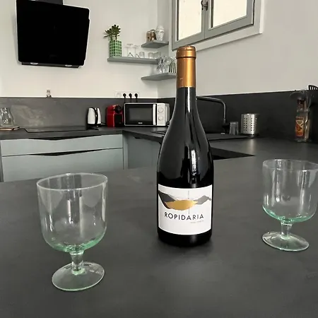 Ecusson - Duplex Lumineux Et Climatise Dans Particulier Apartment Montpellier