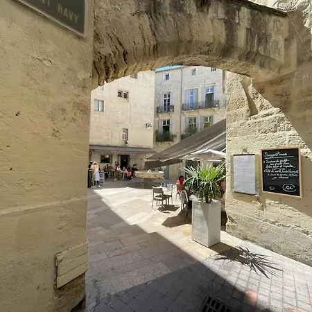 Appartement Ecusson - Duplex Lumineux Et Climatise Dans Particulier Montpellier